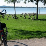 2309F 092 Altmuehlsee